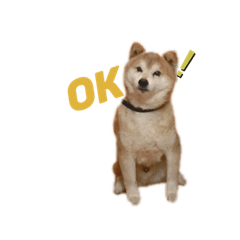 山田家のどうぶつたち