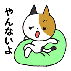 基本、ドライなネコ