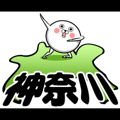 私、神奈川県民ですよ！？