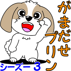 がまだせプリン