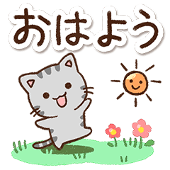 やさしいアメショ