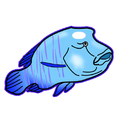 おとぼけ おさかな