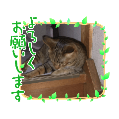サスケの気まぐれスタンプ