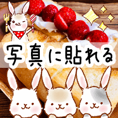 写真に貼れる♪うさぎスタンプ