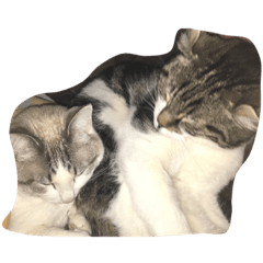 れおんとまろろ