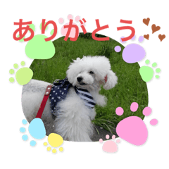 わんちゃん　スタンプ