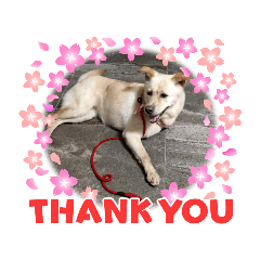 Bonnie_20210716170507