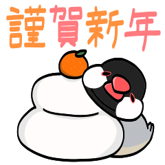 にぎやかインコ達の年末年始3