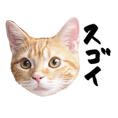 つむじちゃんなかよしスタンプ