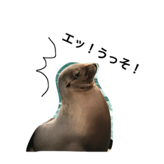 動物リアクション芸