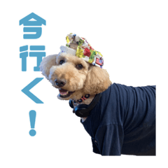 もじゃもじゃなスタンプーのスタンプ