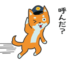 じゅんさとあにまるず