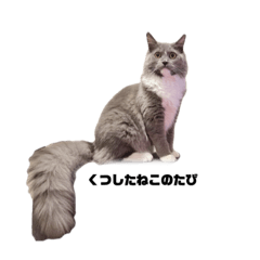 くつしたねこのたび2