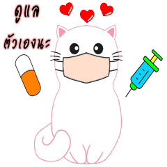 Sticky rice cute Cat