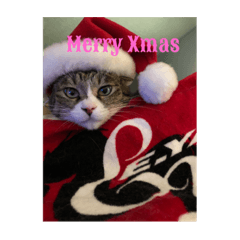 季節のイベントスタンプ❤️