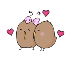 可愛いキーウィ。