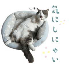 アムのひとこと2