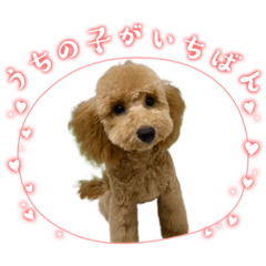 くうたんすたんぷ。