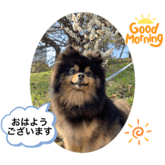 くろ助スタンプ①