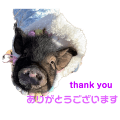 チキトリスタンプ