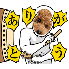 トイプーアディのちょいかわスタンブ