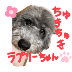 もなか好き専用