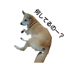 ラッキースタンプ 0408