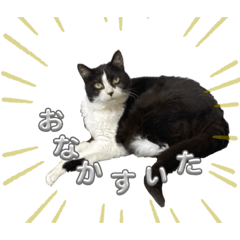 かんなちゃん ＆ ここちゃん