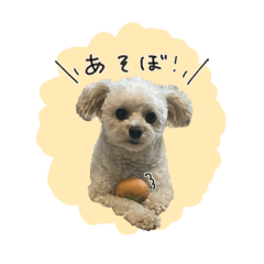 チップくんスタンプ１