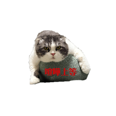 りく様と下僕(飼い主)