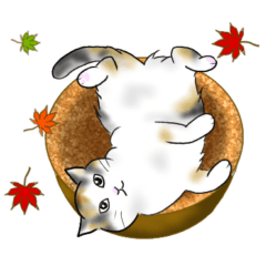 三毛猫ちゃんのスタンプ☆