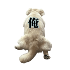 うちのミール君③