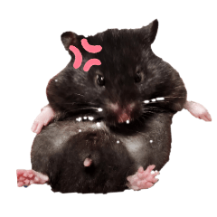 クロクマりぼん‪ちゃん