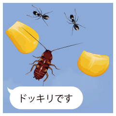 画面いたずらドッキリ