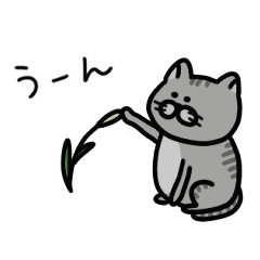 猫の日々スタンプ