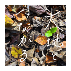 わたしを育むことば