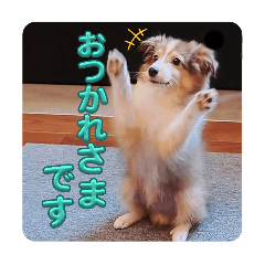 こたのLINEスタンプ(2)(丁寧語版)