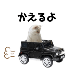 いつものちくわたん