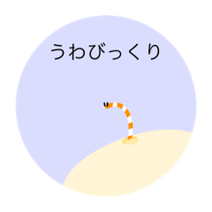 ただのチンアナゴ∈'＾'∋