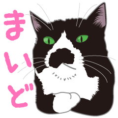 白黒にゃんこのスタンプ-03