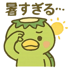 夏のカッパ日和