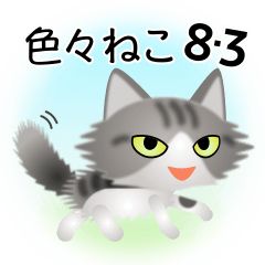 色々な猫8-3 長毛-立ち耳-サバトラ白