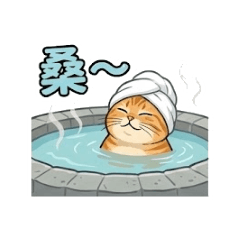 Spa Cat Daily Life