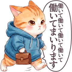 1年中毎日使える パーカーねこ 日常