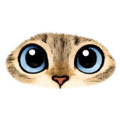 猫のびび　〜毎日編〜