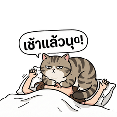 Tabby Gang's Daily Chaos