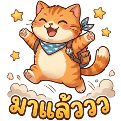 Somchun : The Lazy Orange Cat