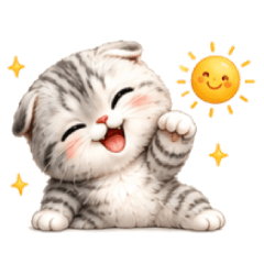 Scottish Fold Cat - More Cute Reactions