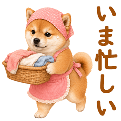 主婦の柴犬❤️使いやすいシニア日常敬語