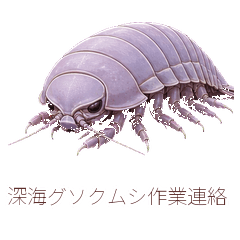深海グソクムシ作業連絡